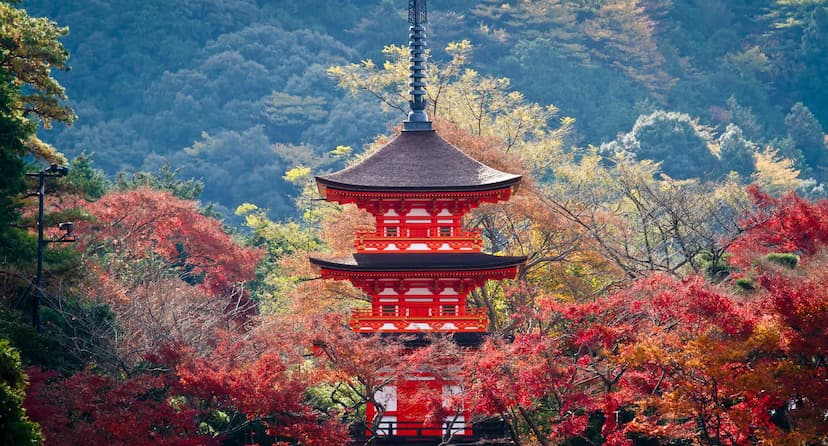 Kyoto Autumn Leaves 2026: Best Time to Visit & Fall Foliage Guide