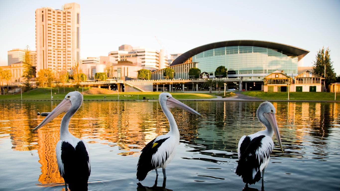 Explore Adelaide