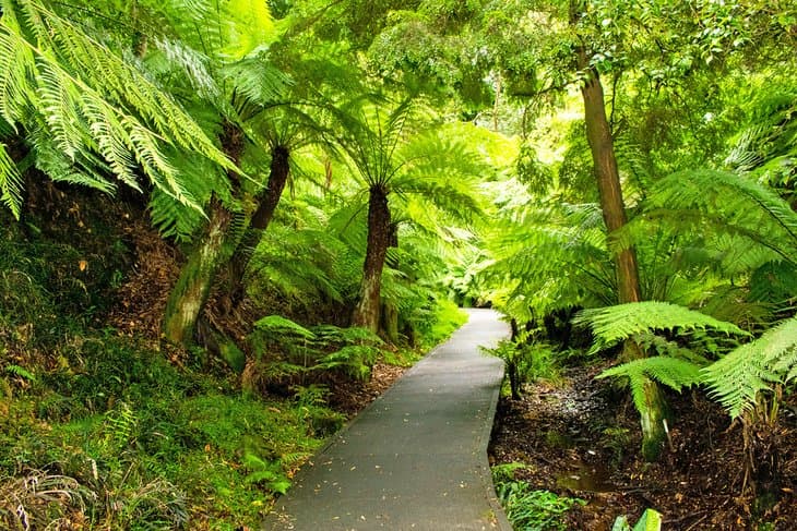 Explore Canberra