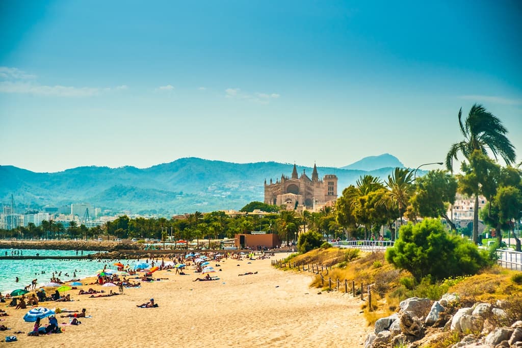 Explore Palma
