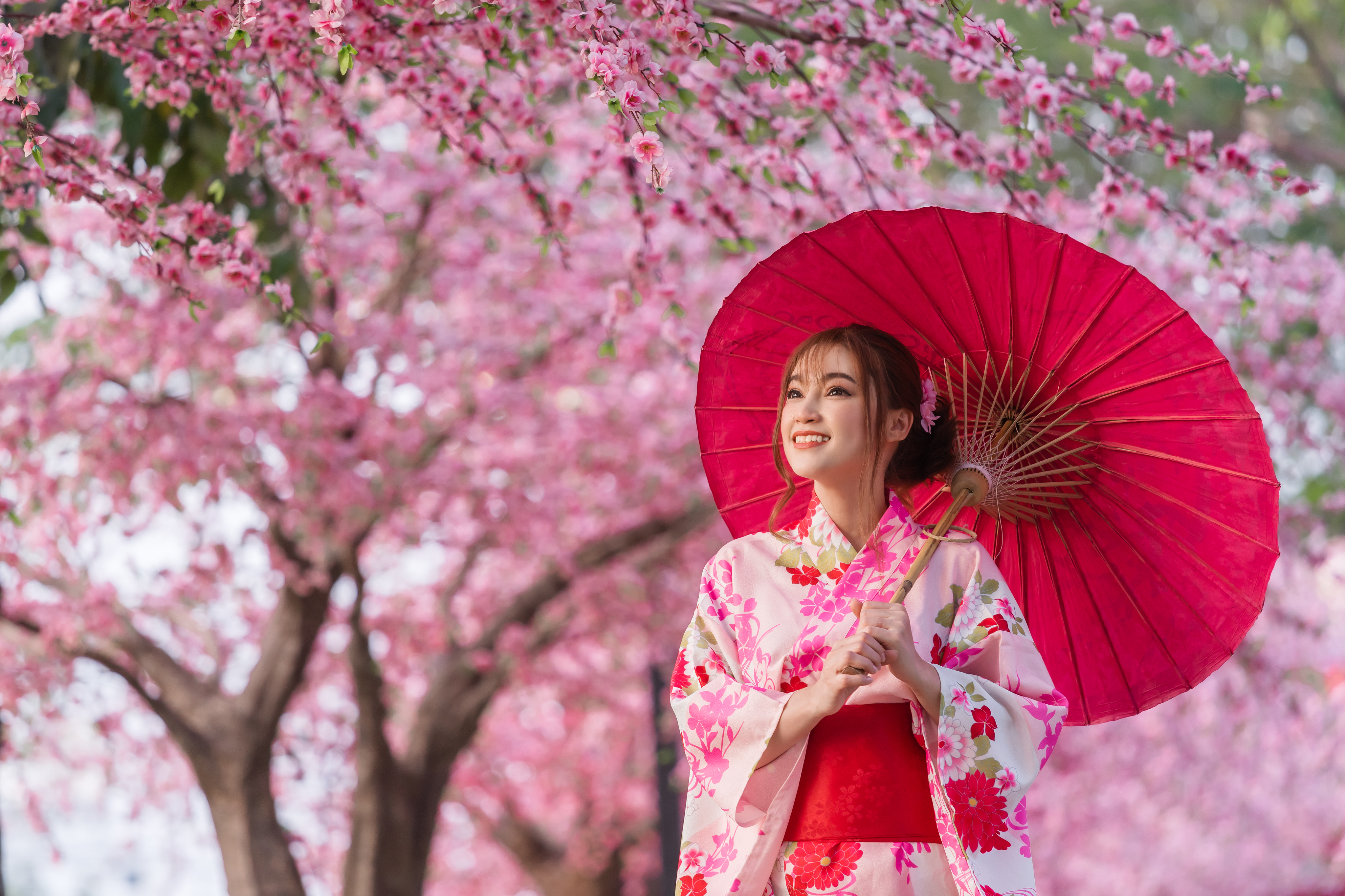 Discover Japan's Cherry Blossom Magic