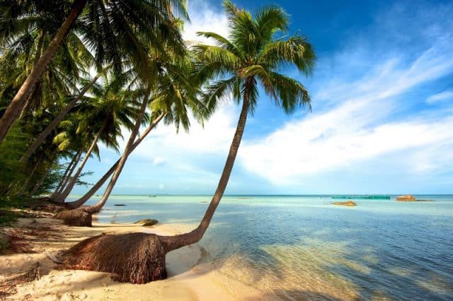 Vietnam