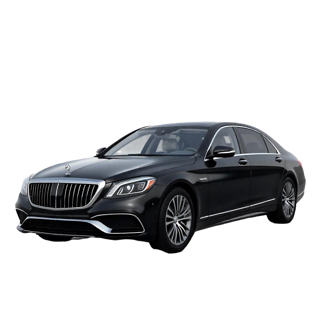 Executive Minivan